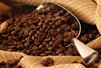 Does caffeine fight cancer?
